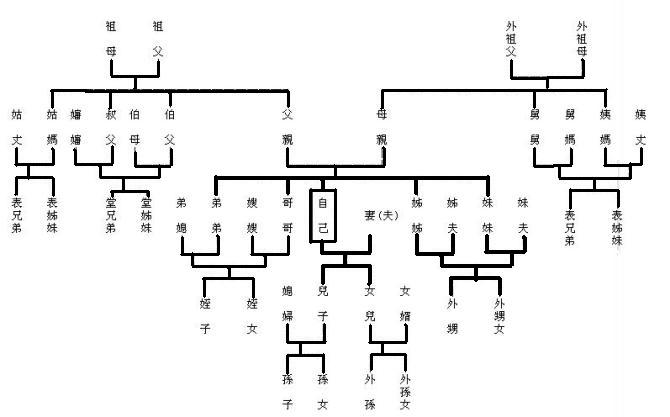 直系亲属包括哪些_直系亲属的定义(图2)