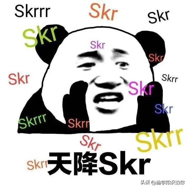 skr什么意思(图2)