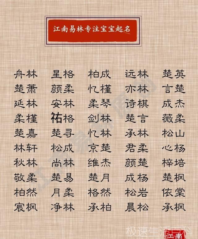 木字旁的字_木字旁的字有哪些字(图1)