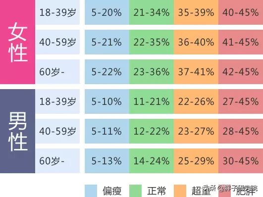 体脂率怎么计算(图2)