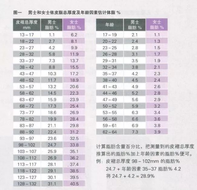 体脂率怎么计算(图3)