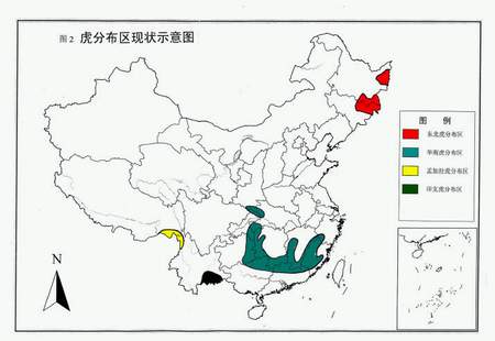 华南虎和东北虎的区别(图2)