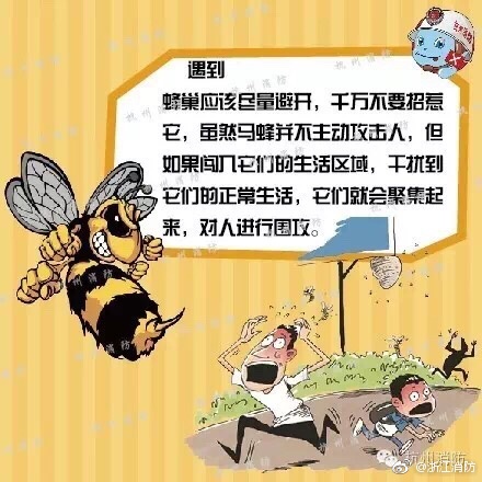 被蜜蜂蛰了怎么处理(图3)