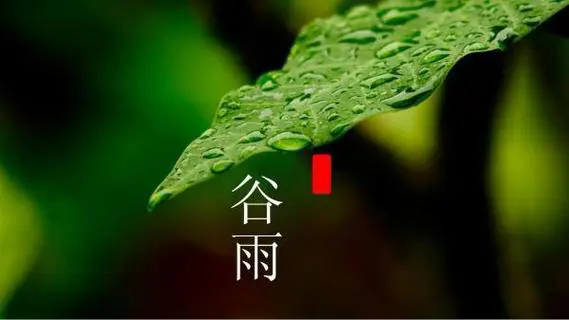 谷雨节气吃什么食物好 这些食物美味又健康(图1)