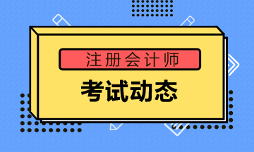 cap注册会计师怎么考试_CAP注册会计师考试全攻略(图3)