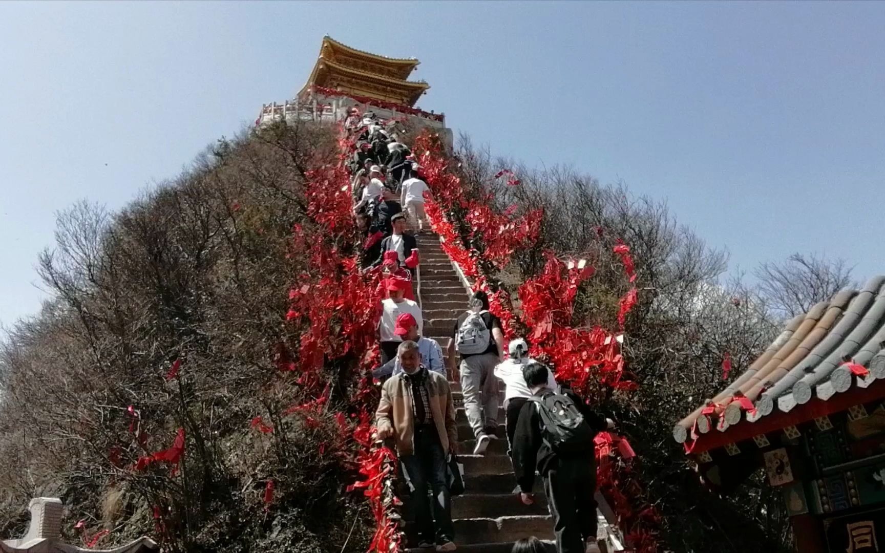 游玩老君山景区最佳方案(图5)