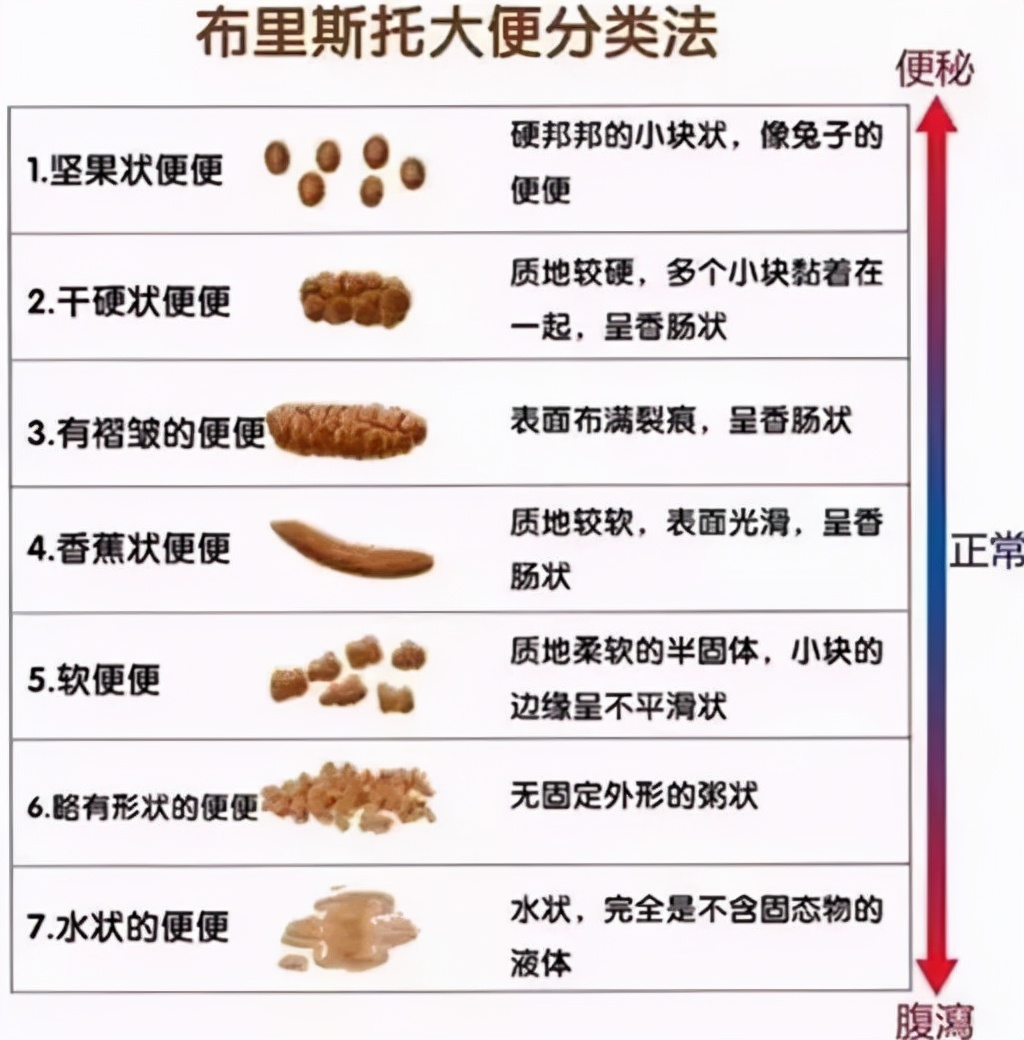 大便拉出血和肠炎有关系吗(图3)