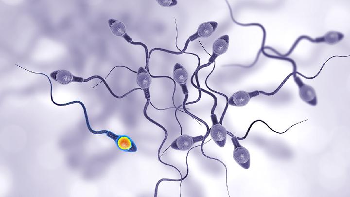 男科检查精子报告需要多久(图1)