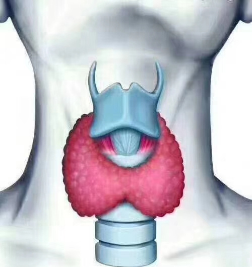 甲亢的危害性有多大_甲亢隐藏在身体里的健康杀手(图2)