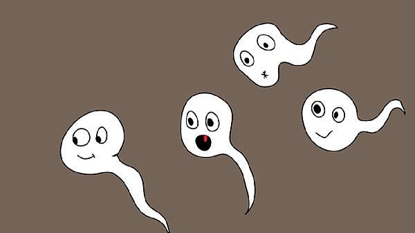 畸形精子是因为什么造成的(图2)