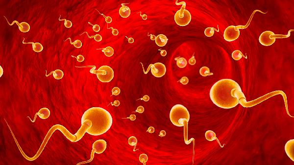 畸形精子是因为什么造成的(图1)