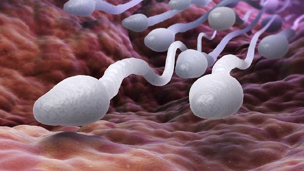 精子活率低畸形率高怎么办(图2)