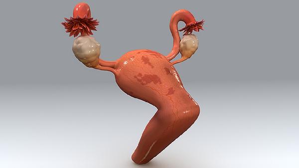 宫颈息肉目前没有什么感觉(图2)