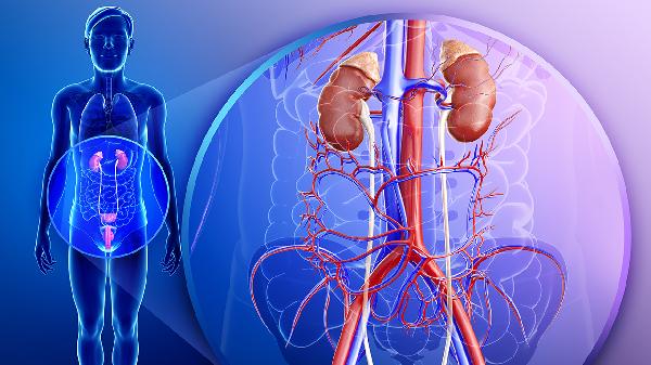 泌尿科外科疾病怎样治疗有效果(图1)