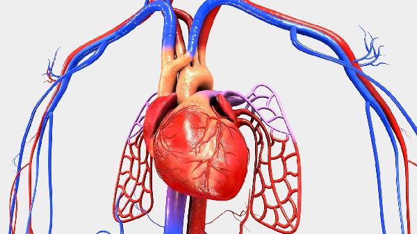 心脏供血不足怎么吃(图2)