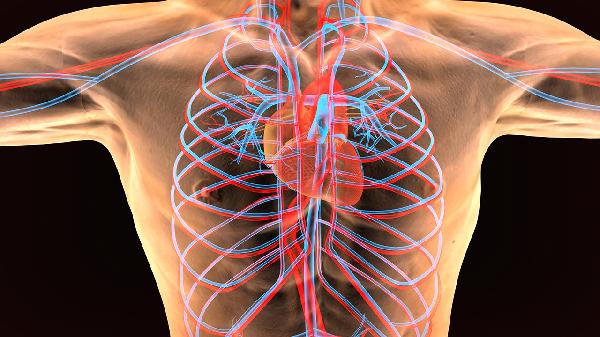 年轻人心脏供血不足的前兆是什么(图1)