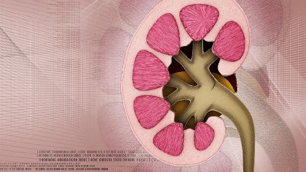早晨起床肾酸胀是什么病(图2)