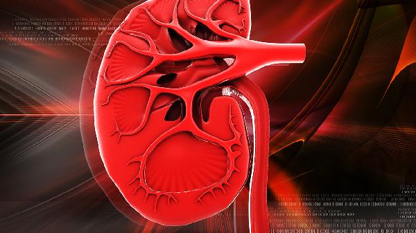 肾上有碎石都有哪些危害(图2)