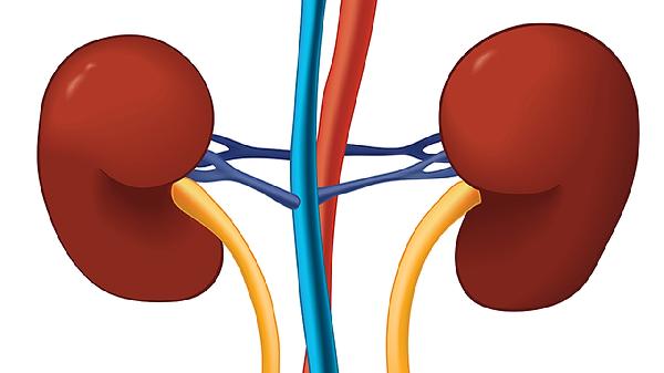 肾小管堵塞的六大元凶，你中招了吗？如何预防保护肾脏健康！(图2)