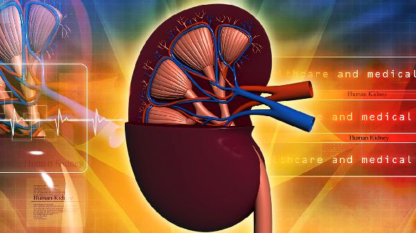肾无功能切除不了疼痛如何解决(图1)