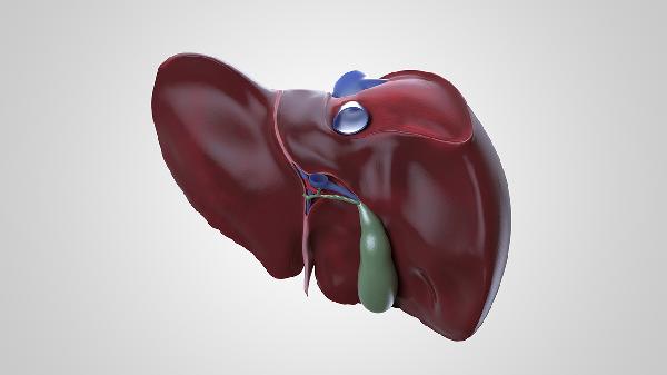 看肝脏应该挂什么科(图2)