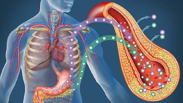 如何快速恢复胰岛功能？(图1)