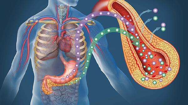 胰岛功能丧失的人还能活几年(图2)
