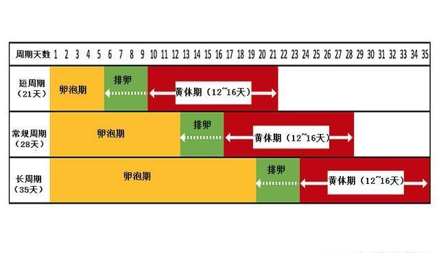 女生的安全期是什么时候_什么是女生安全期(图2)