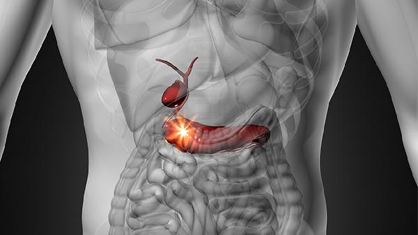 吃什么对胰腺有好处(图1)