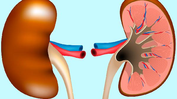 肾囊肿十大禁忌食物有哪些(图1)