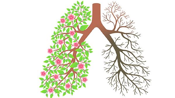 肺高压吃药要几个月才降下来呀(图2)