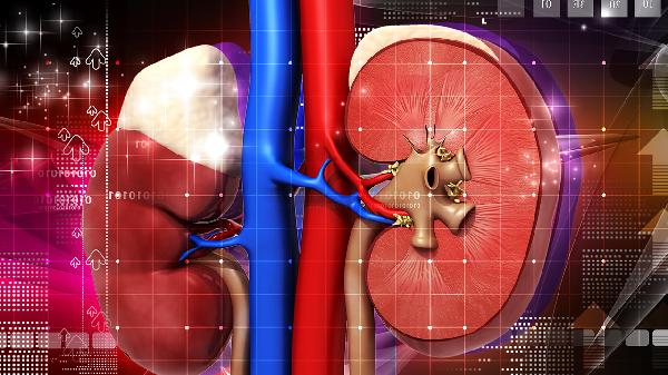 肾移植后还能生育吗(图1)
