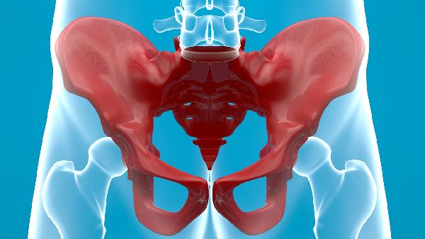 致密性髂骨炎平时吃什么食疗(图1)