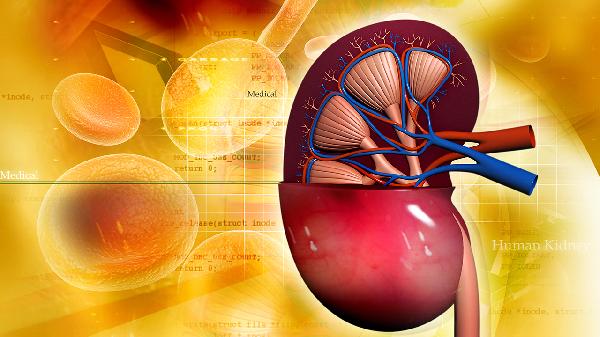 肾损伤吃什么好得快一点呢(图1)