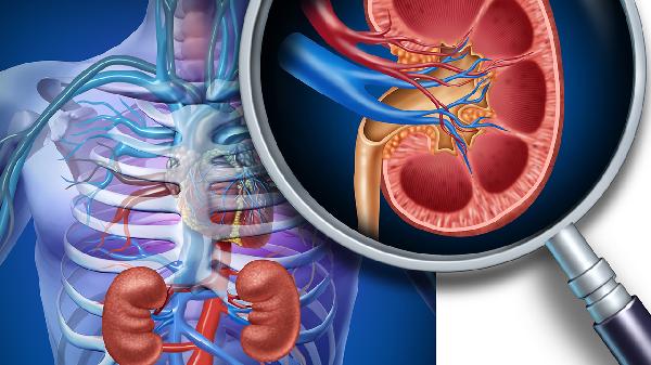 肾结核的形成原因有哪些呢(图1)