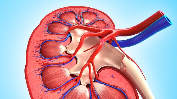 肾损伤的常见症状是 什么(图1)