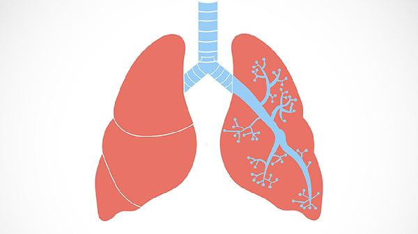 粘液性肺腺癌恶性程度高吗(图2)