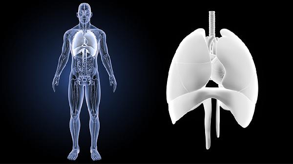 气管腺样囊性癌恶性程度高吗能活多久(图2)