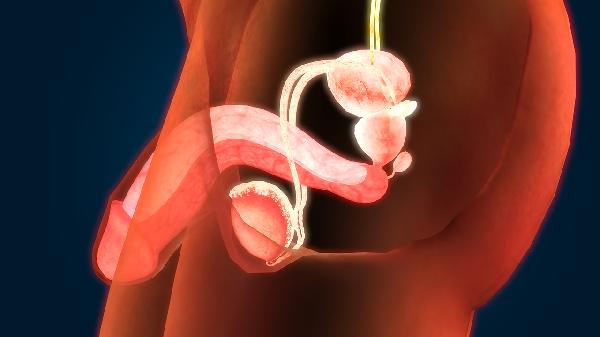 45岁男人遗精是怎么回事(图1)
