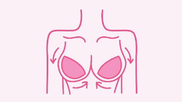 女性补血丰胸蔬菜有哪些呢(图3)