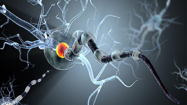 肿瘤五种鱼不能吃鲫鱼能吃吗为什么(图2)