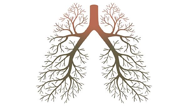 肺结节如何治疗怎么才能让结节消失(图2)