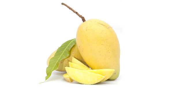 牙齿不好的老人吃什么食物好(图1)