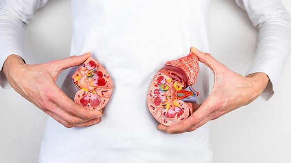 肾囊肿和肾积水的区别是什么(图1) 肾囊肿和肾积水的区别是什么(图1)