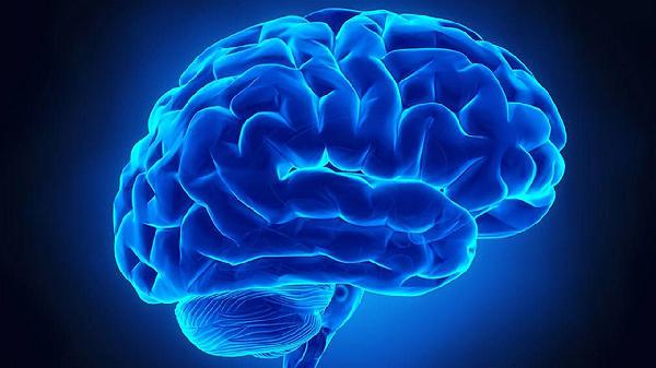 老人脑萎缩会导致什么后果?可治吗?(图2)