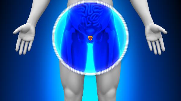 海绵体充血不足导致阳痿早泄怎么办(图1) 海绵体充血不足导致阳痿早泄怎么办(图1)