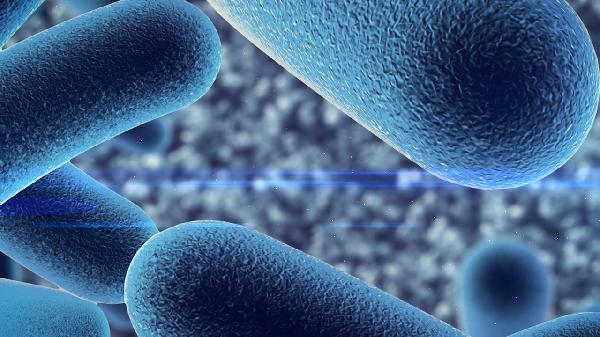 一直38度不退烧怎么办?(图2)