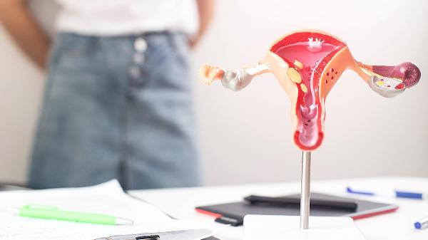 五子衍宗丸可以治疗早泄吗(图1)