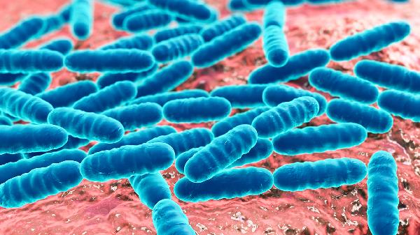 细菌性痢疾的大便是什么样的(图3) 细菌性痢疾的大便是什么样的(图3)