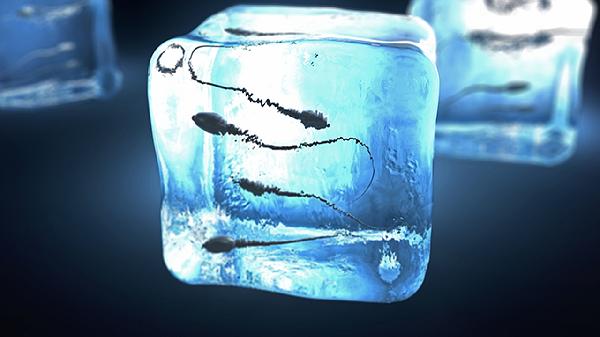 精子受精卵结合过程是什么(图3) 精子受精卵结合过程是什么(图3)